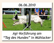 Agility-Vorführung in Mühlacker am 06.06.2010