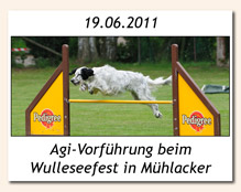 Agility-Vorführung in Mühlacker am 19.06.2011